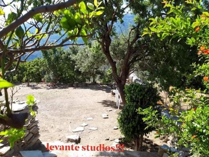 Levante Studios Αndros Menites Luaran gambar