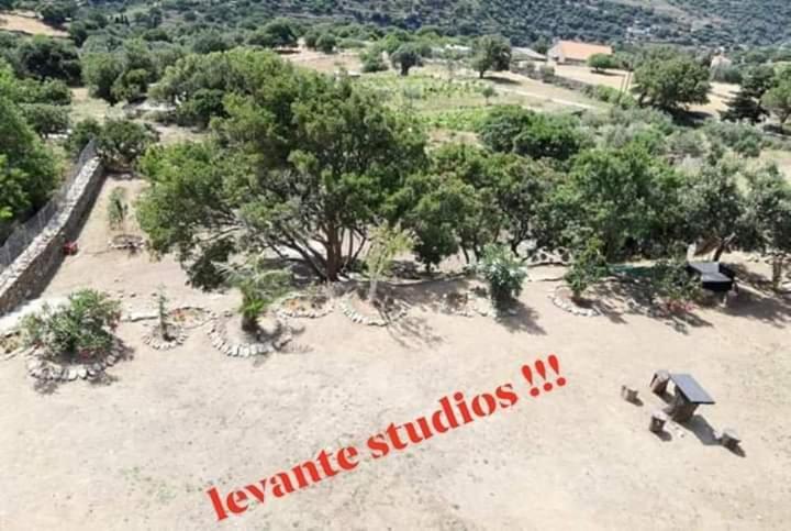 Levante Studios Αndros Menites Luaran gambar